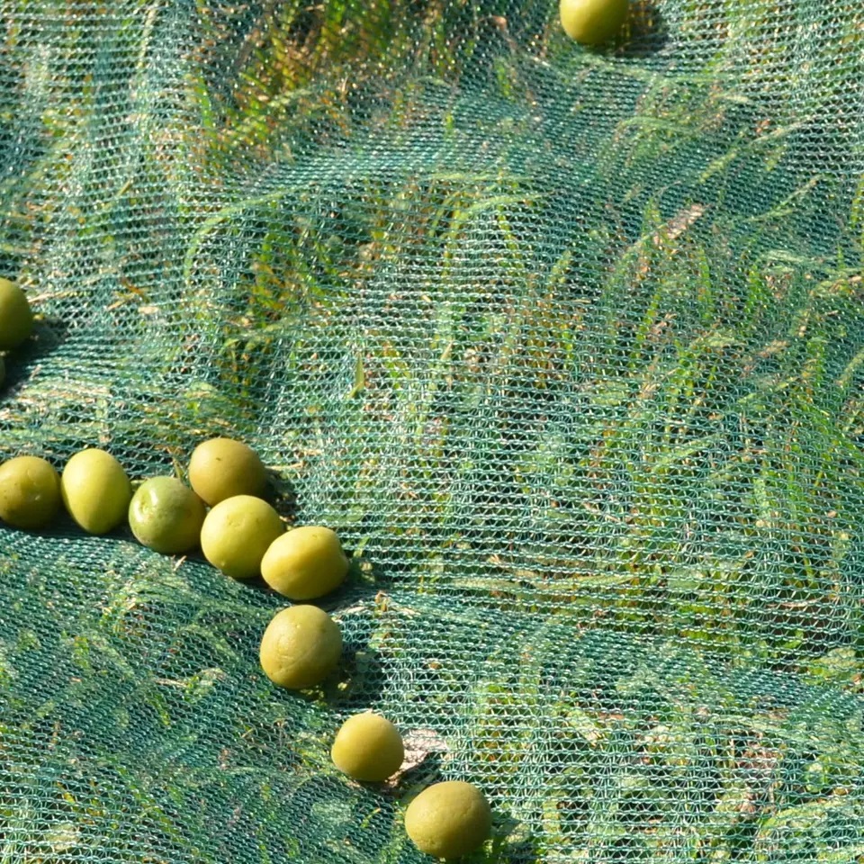 HARVESTING NET